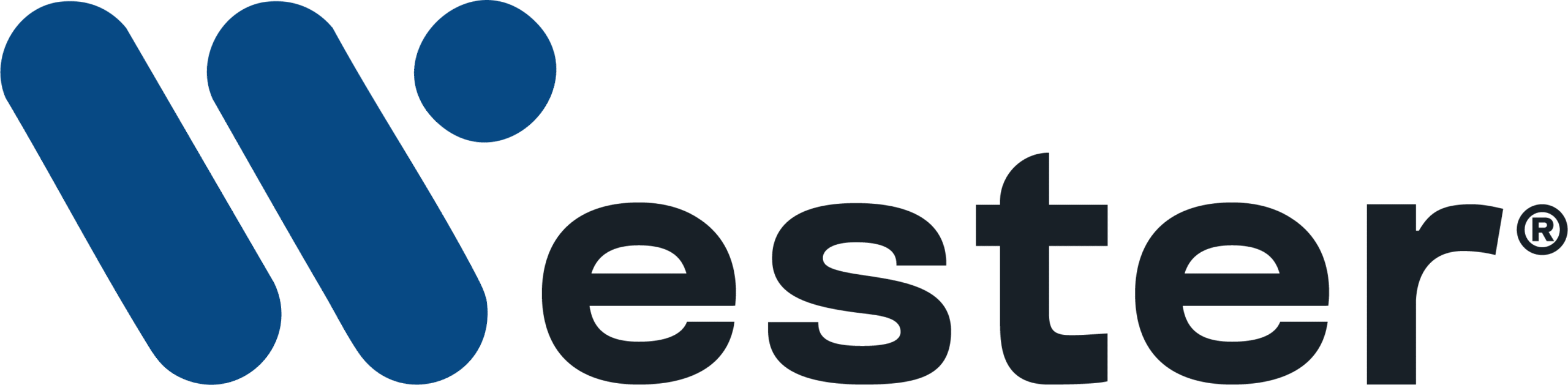 Wester Elettronica